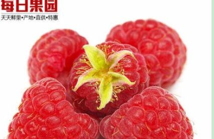 新鲜树莓水果125g盒精选红树莓覆盆子果茸生鲜孕妇水果